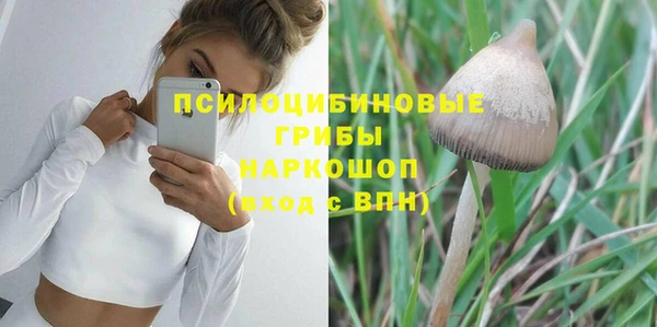 скорость Липки