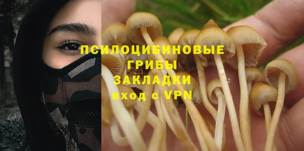 скорость Липки
