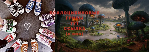 соль ск Лихославль